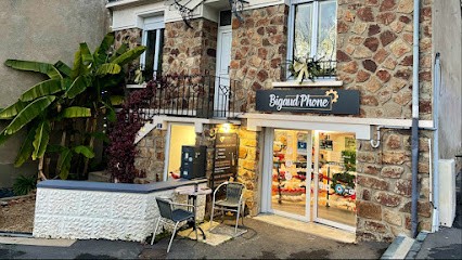 BIGAUDPHONE La Roche-Sur-Yon Réparation Téléphones, Tablettes, Consoles de Jeux et PC Portables-Rachat iPhone-Samsung-Huawei, Atelier de Réparation de Téléphone à La Roche-sur-Yon