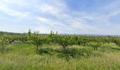 L'expert Sabrigsm, Atelier de Réparation de Téléphone à Loire-sur-Rhône