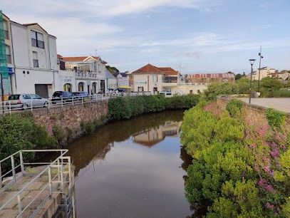 Cig & Phone Agréé Label QUALIREPAR ( Cigarette Électronique Et Réparation Téléphone ), Atelier de Réparation de Téléphone à Pornic