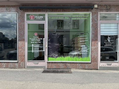 Tulipe mobile - Réparation téléphone sur Colmar, Atelier de Réparation de Téléphone à Colmar